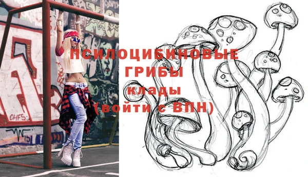 прущий лед Магас