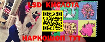 шишки Апшеронск