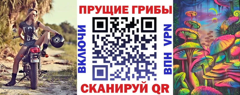 mega вход  Тында  Галлюциногенные грибы прущие грибы  продажа наркотиков 