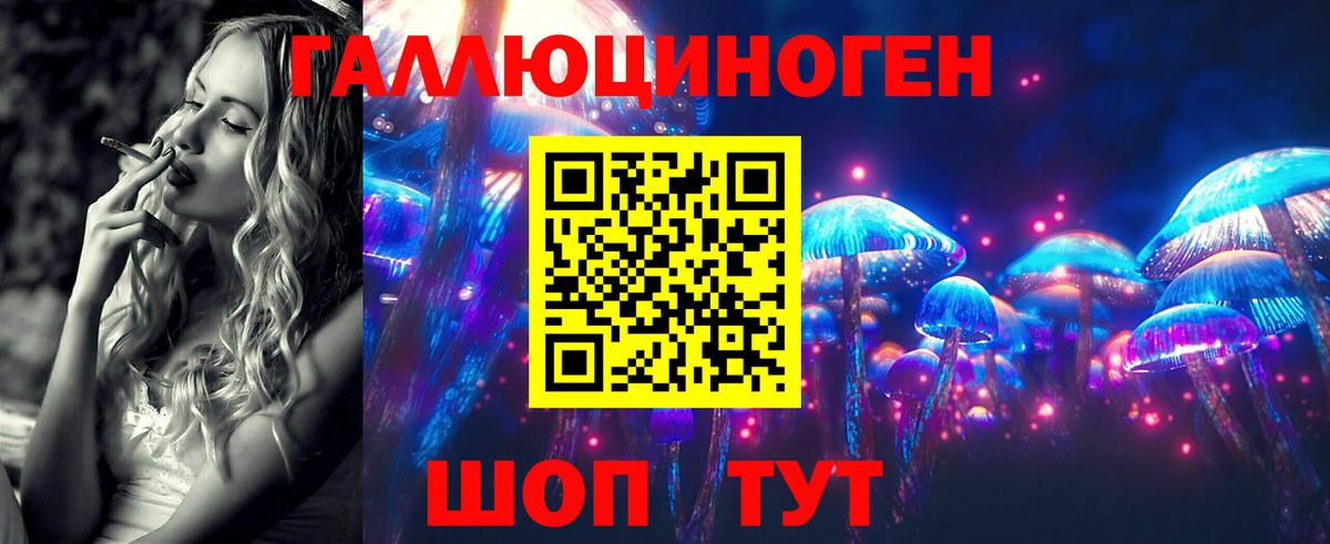 Галлюциногенные грибы MAGIC MUSHROOMS  Тында 