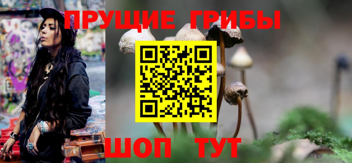 Псилоцибиновые грибы ЛСД Тында